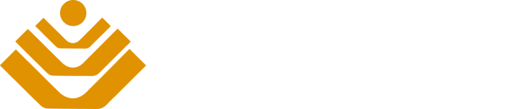 Irreplaceable Choice